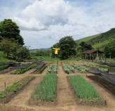 Fazenda Esperança